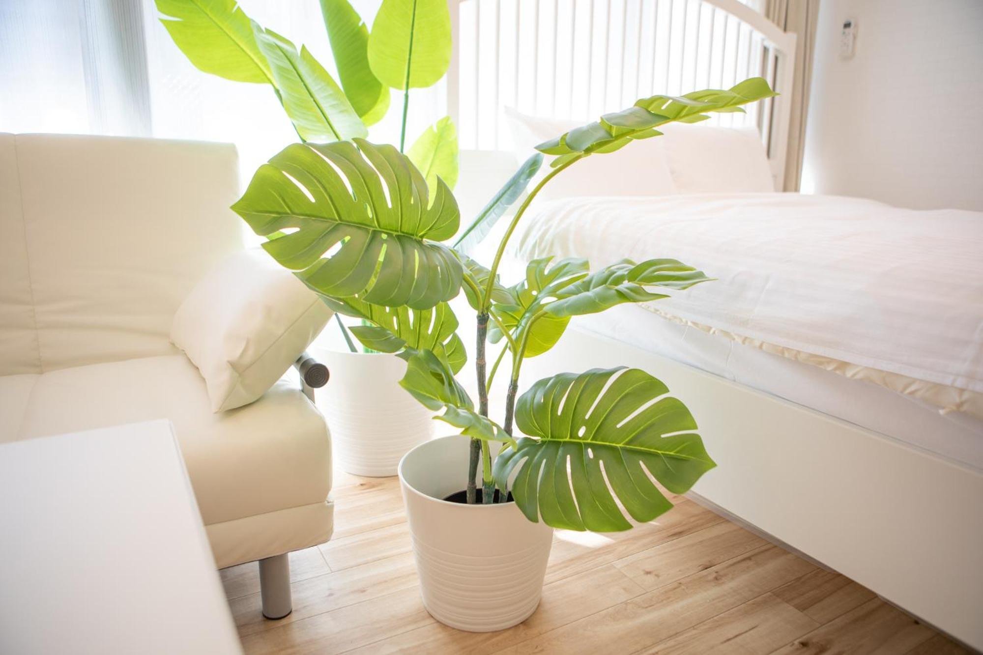 Komagome Cozy Room طوكيو الغرفة الصورة